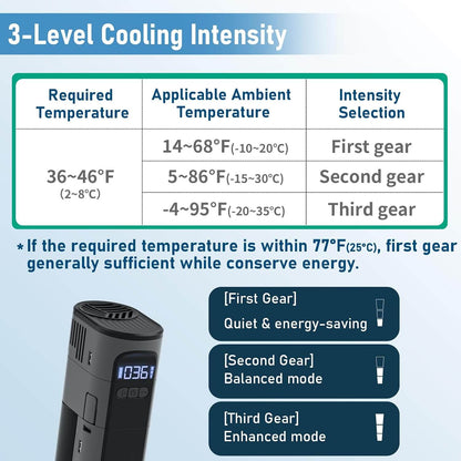 Electric Insulin Cooler Secretsbox